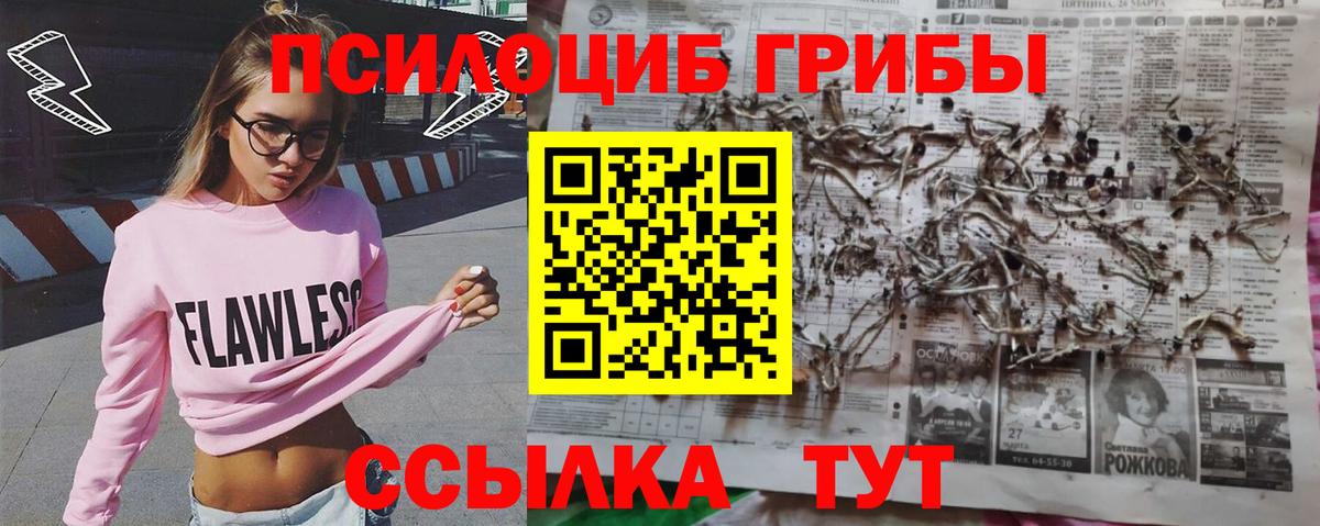 Галлюциногенные грибы MAGIC MUSHROOMS  Вход с VPN  Лобня 